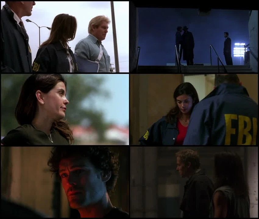 Download Momentum | 2003 | WEB-DL Dual Audio | Hindi-English | 480p 720p 1080p